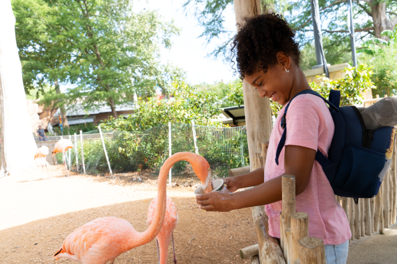 San Antonio Zoo